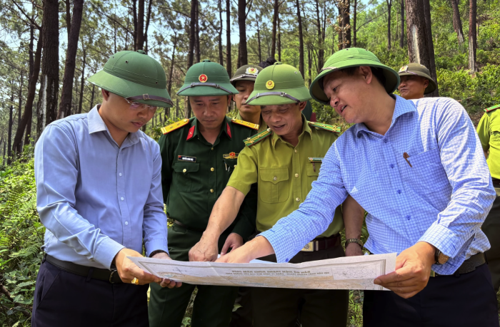 Chủ động các phương án ứng phó nhằm giảm thiểu thiệt hại do cháy rừng