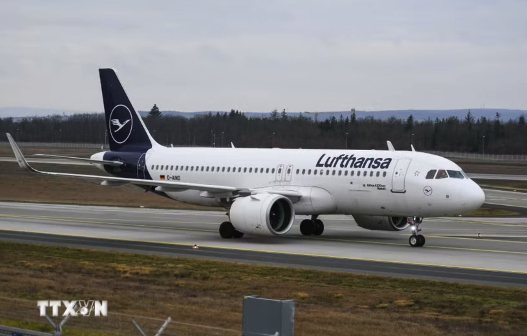 Máy bay của hãng hàng không Lufthansa tại sân bay Frankfurt, Đức. (Nguồn: THX/TTXVN)