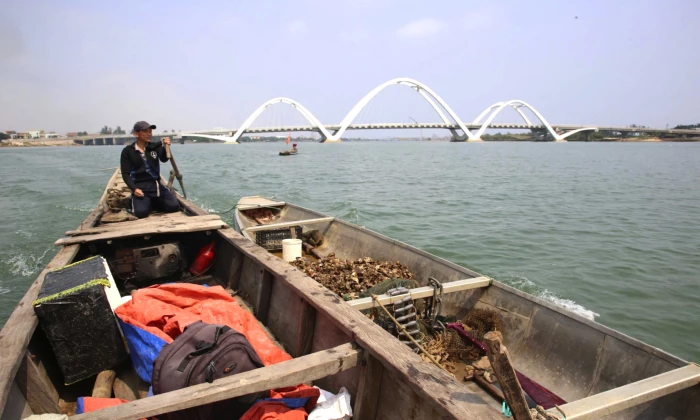 Làng lặn hàu bên sông Nhật Lệ