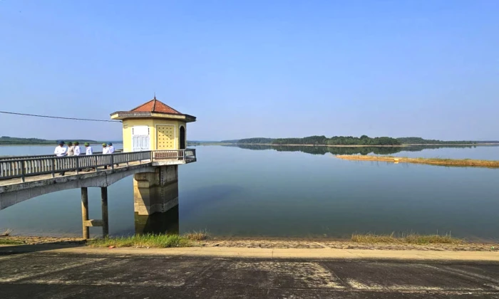 Chủ động phương án chống hạn cho lúa vụ hè-thu