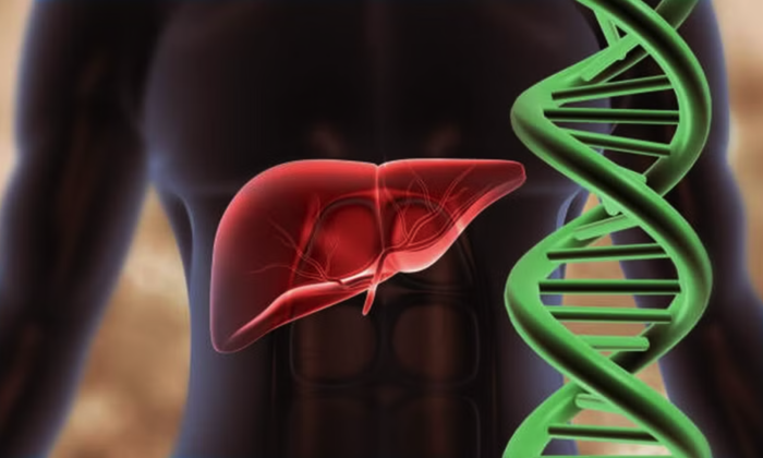 Lần đầu lập bản đồ gene gan người, hé lộ cơ chế bệnh gan nhiễm mỡ