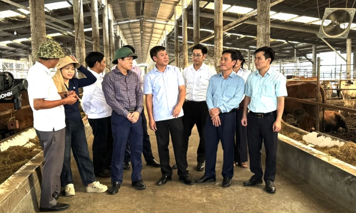 Chăn nuôi công nghệ cao là hướng đi tất yếu