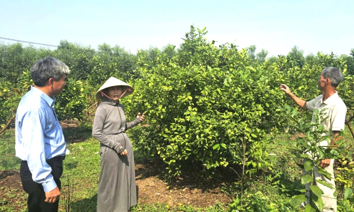 Nông dân Quảng Trị tiếp cận gần 30 tỉ đồng vốn tín dụng ưu đãi để phát triển sản xuất