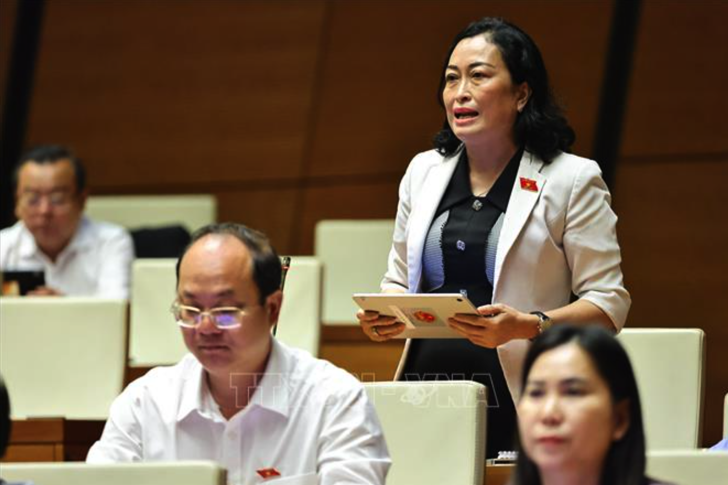 Đại biểu Quốc hội tỉnh Cà Mau Trần Thị Hoa Ry phát biểu. Ảnh: Minh Đức/TTXVN