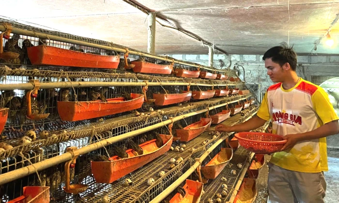 Tạo điểm tựa cho thanh niên lập nghiệp