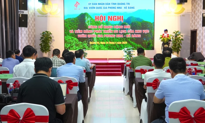 Phát hiện nhiều hang động mới có quy mô lớn, giá trị khoa học cao