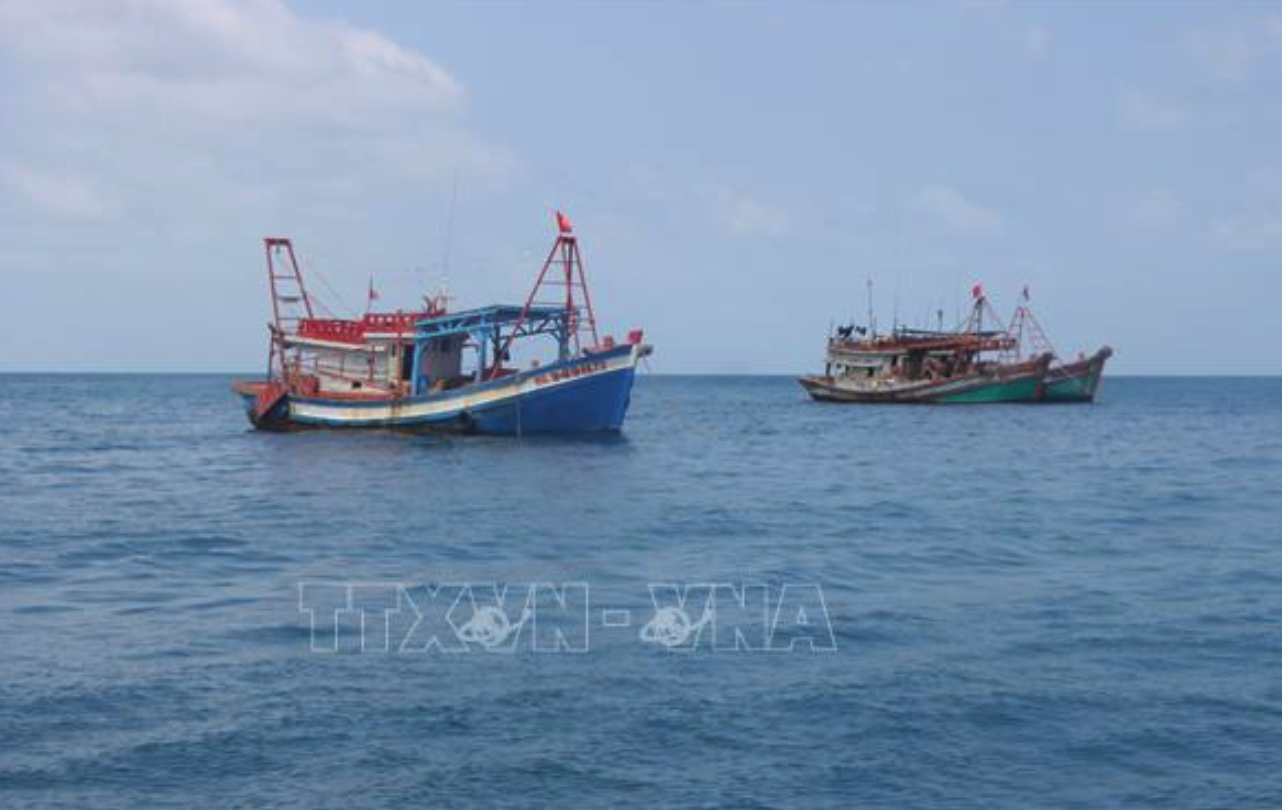 Với ngư trường rộng, nguồn lợi thủy hải sản phong phú, Cà Mau luôn có đội tàu đánh bắt thủy hải sản tập trung đông đúc. Ảnh: Chanh Đa/TTXVN