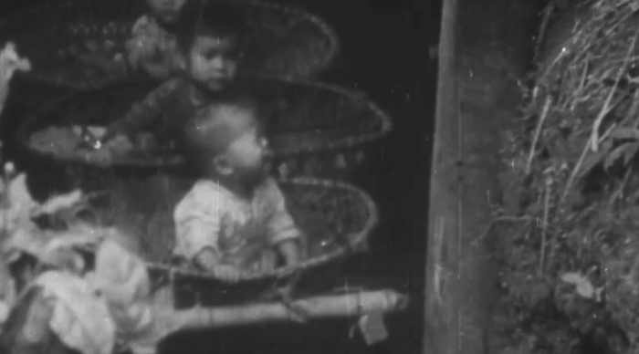 Những 'mầm sống' giữa lòng đất lửa