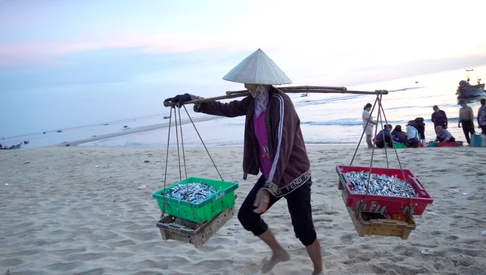 Phía sau những con sóng-Kỳ 2: Không phải 'lối rẽ' trên cát nào cũng bằng phẳng