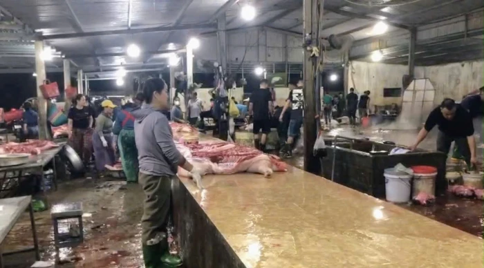 Tăng cường công tác quản lý tại cơ sở giết mổ gia súc tập trung