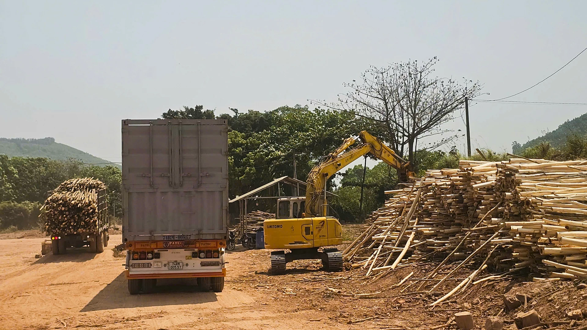 Điểm thu mua gỗ rừng trồng tại Km26, thuộc thôn Thượng Lâm, mới được xây dựng nhưng hoạt động rầm rộ - Ảnh: L.T