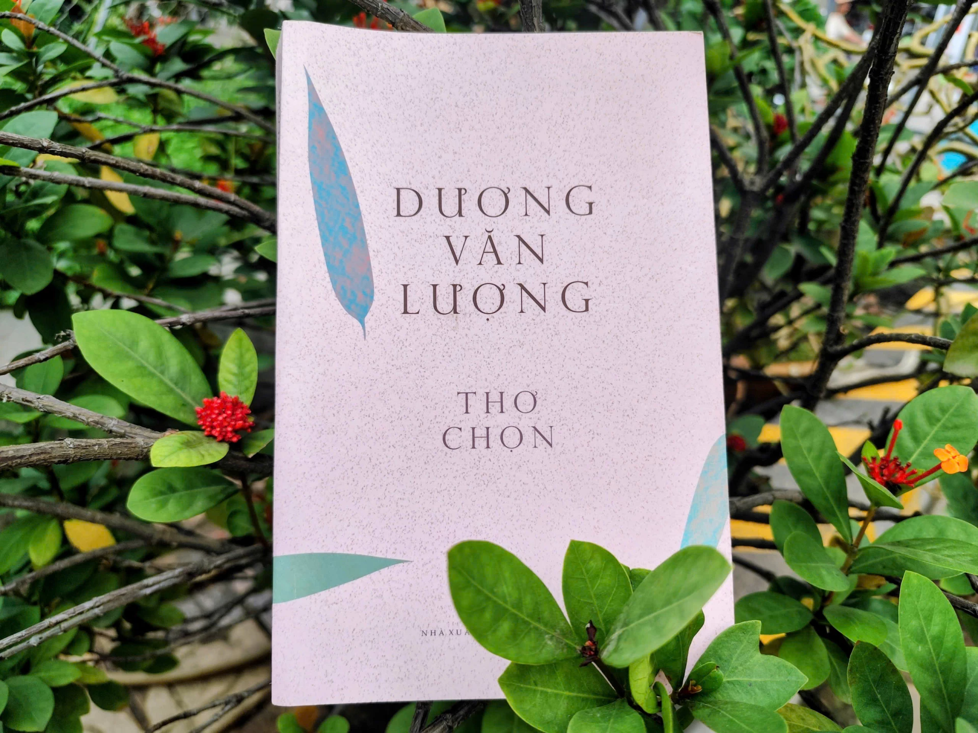 Bìa tác phẩm Dương Văn Lượng-Thơ chọn -Ảnh: N.Đ.H