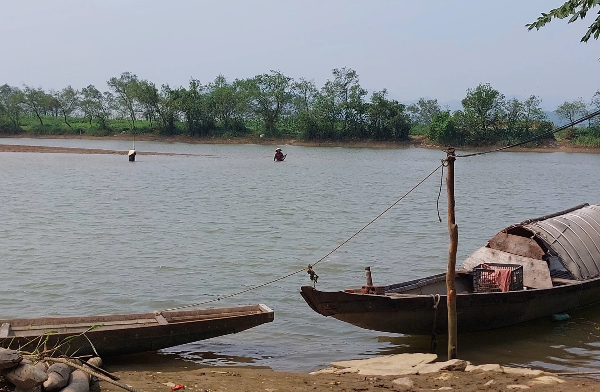 Người dân thôn Phú Ninh ngâm mình dưới nước nhiều giờ để cào chần chần - Ảnh: Đ.N