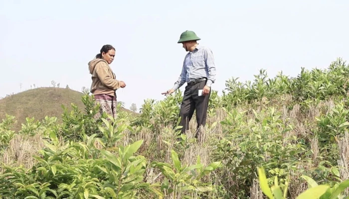 Hiệu quả mô hình 'phủ xanh' ở Prin Thành