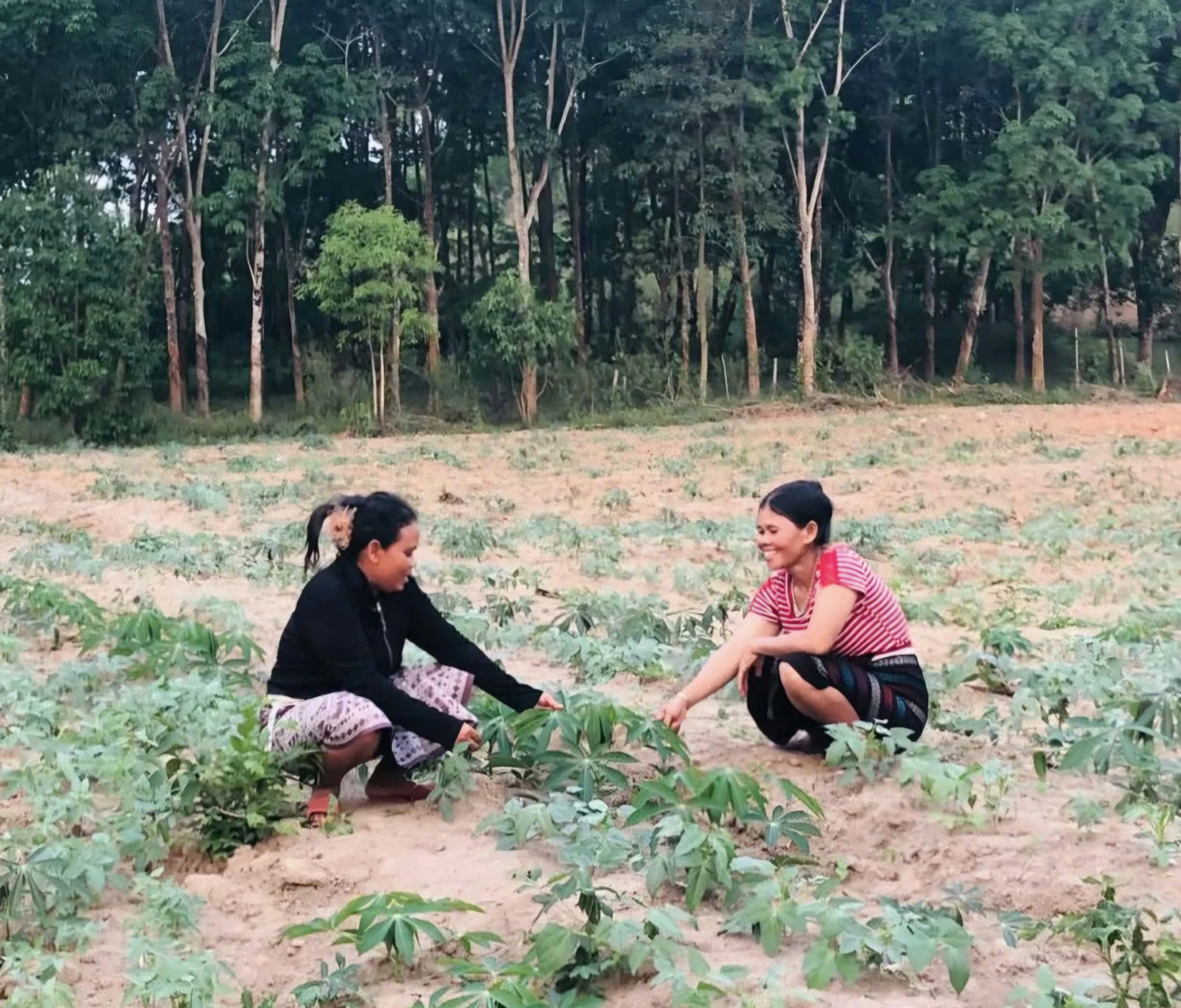 Chị Hồ Thị Thôi (bên trái) chia sẻ với hội viên kỹ thuật canh tác các loại cây ngắn ngày cho hiệu quả kinh tế cao trên diện tích đất khó-Ảnh: K.S