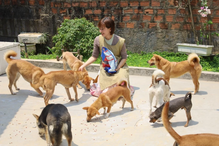 Trạm Xanh và những đôi mắt ướt