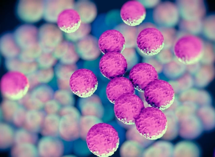 Phát hiện vi khuẩn có khả năng bảo vệ cơ thể trước hội chứng COVID kéo dài