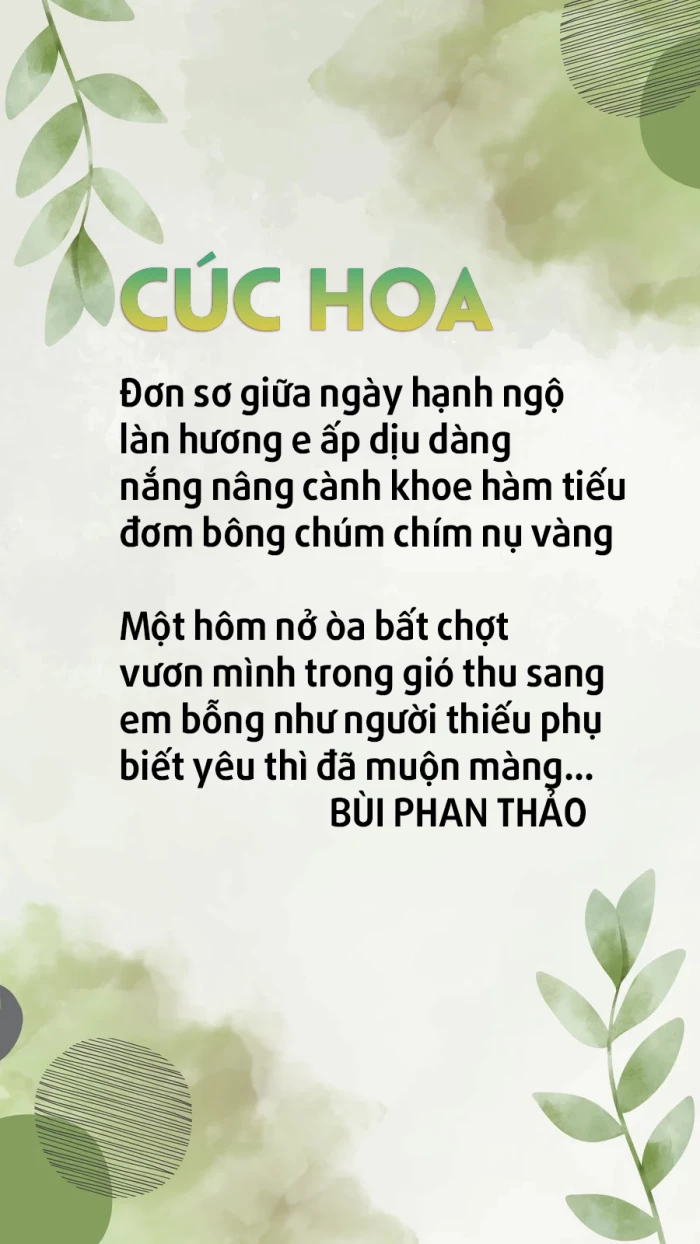 Cúc hoa