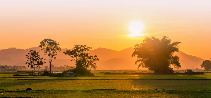 Chiều quê nghe tiếng chim gọi về miền ký ức