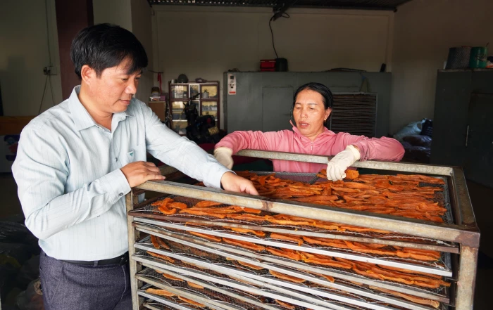 'Quả ngọt' trên cát trắng