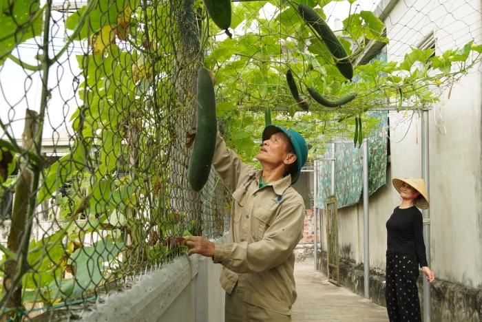 'Sổ hưu' từ vườn mẫu