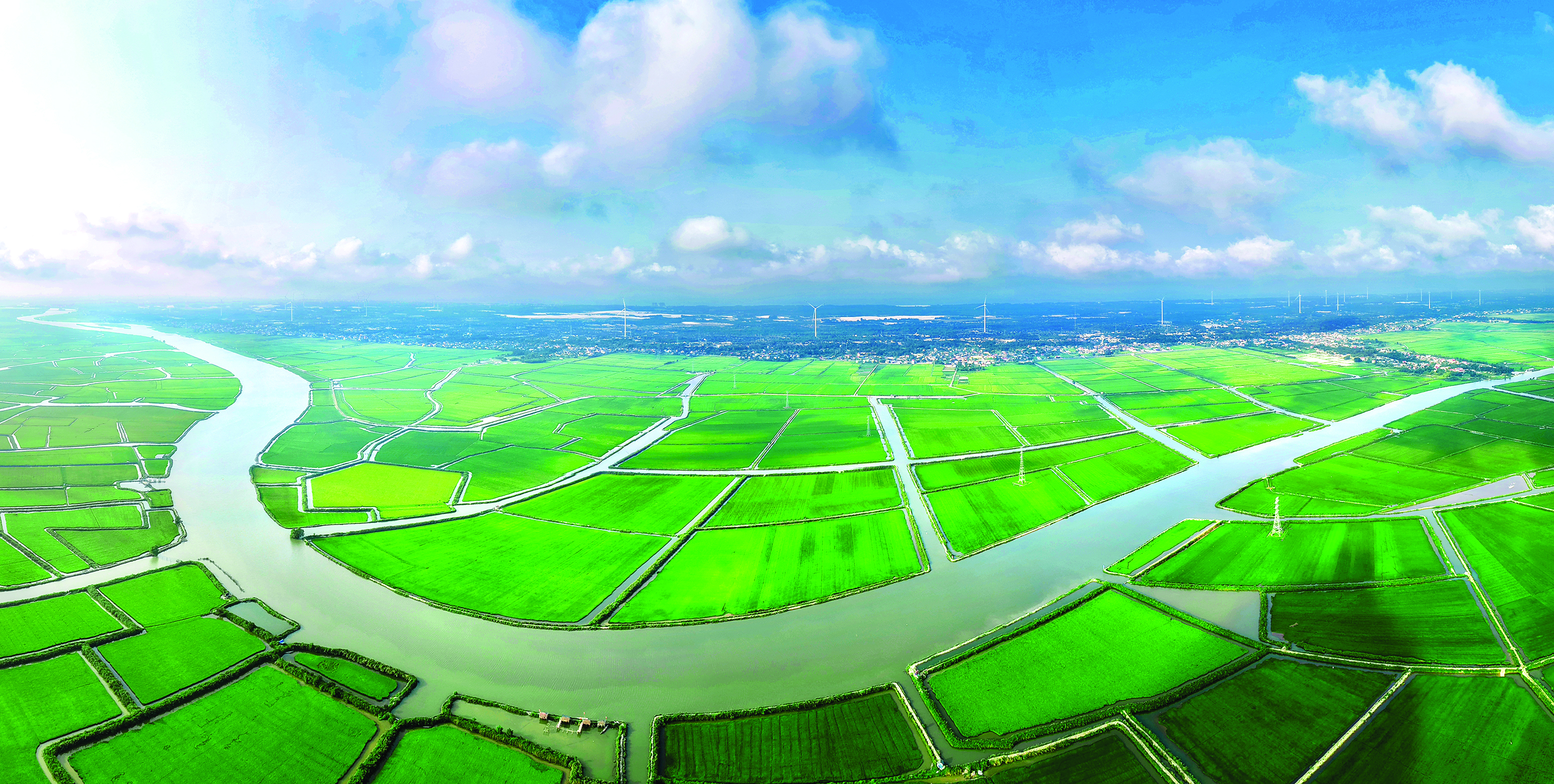 Hạc Hải mùa xanh 