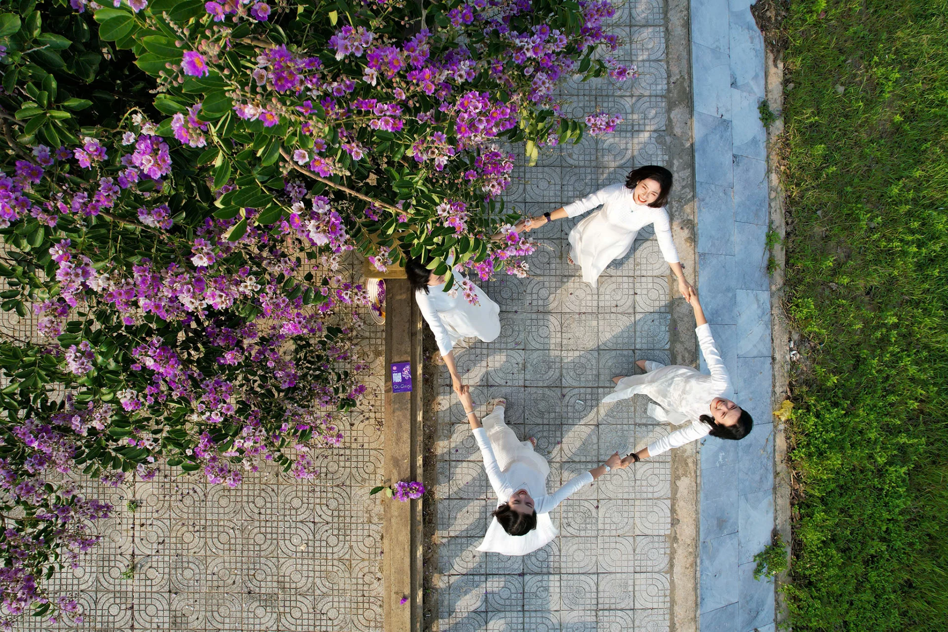 Dịu dàng sắc tím bằng lăng 