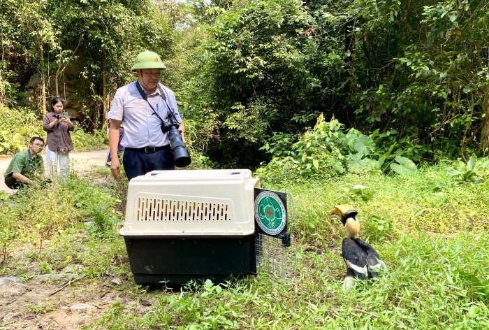 Thả gần 170 cá thể động vật hoang dã về môi trường tự nhiên