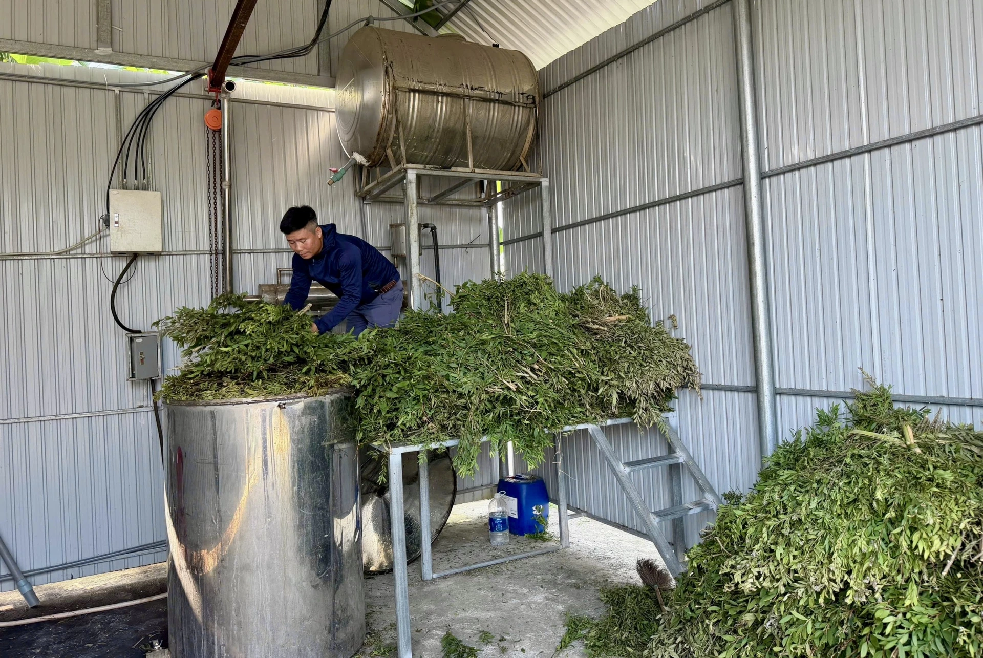 Mỗi tháng, cơ sở sản xuất tinh dầu Tuyết Nhi đưa ra thị trường khoảng 100 lít tinh dầu các loại - Ảnh T.A

