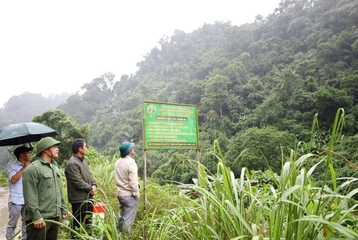 'Tiếp sức' cho lao động nghề rừng ở Kim Ngân