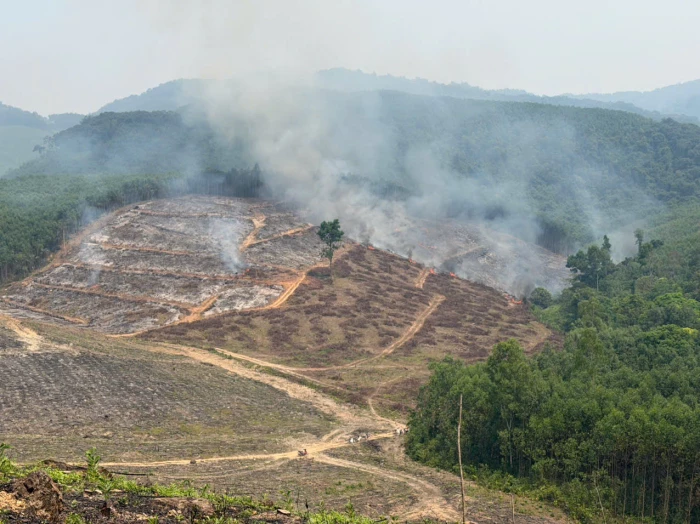 Kịp thời khống chế đám cháy thực bì tại xã Phong Nha