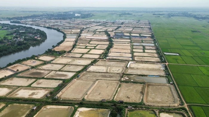 Sẵn sàng cho vụ nuôi tôm mới