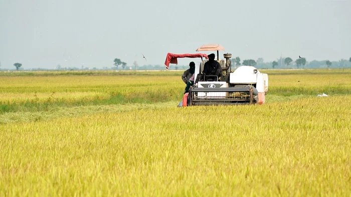 Phát huy vai trò kinh tế tập thể