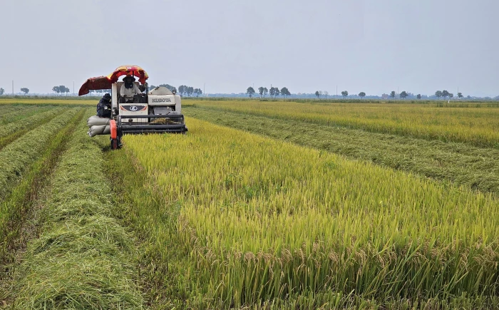 Đẩy mạnh tái cơ cấu nông nghiệp theo hướng gia tăng giá trị