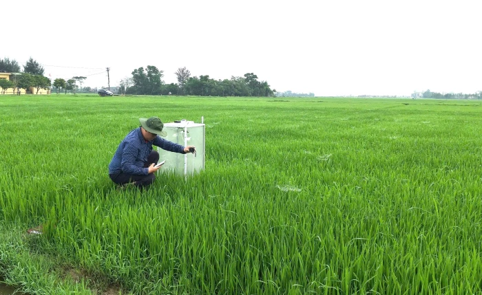 'Xanh hóa' lĩnh vực trồng trọt