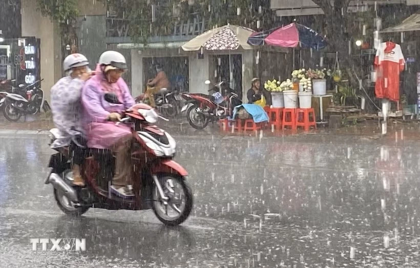 Ảnh minh họa. (Ảnh: Công Mạo/TTXVN)