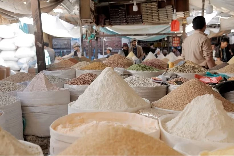 Ảnh minh họa. (Nguồn: THX/TTXVN)