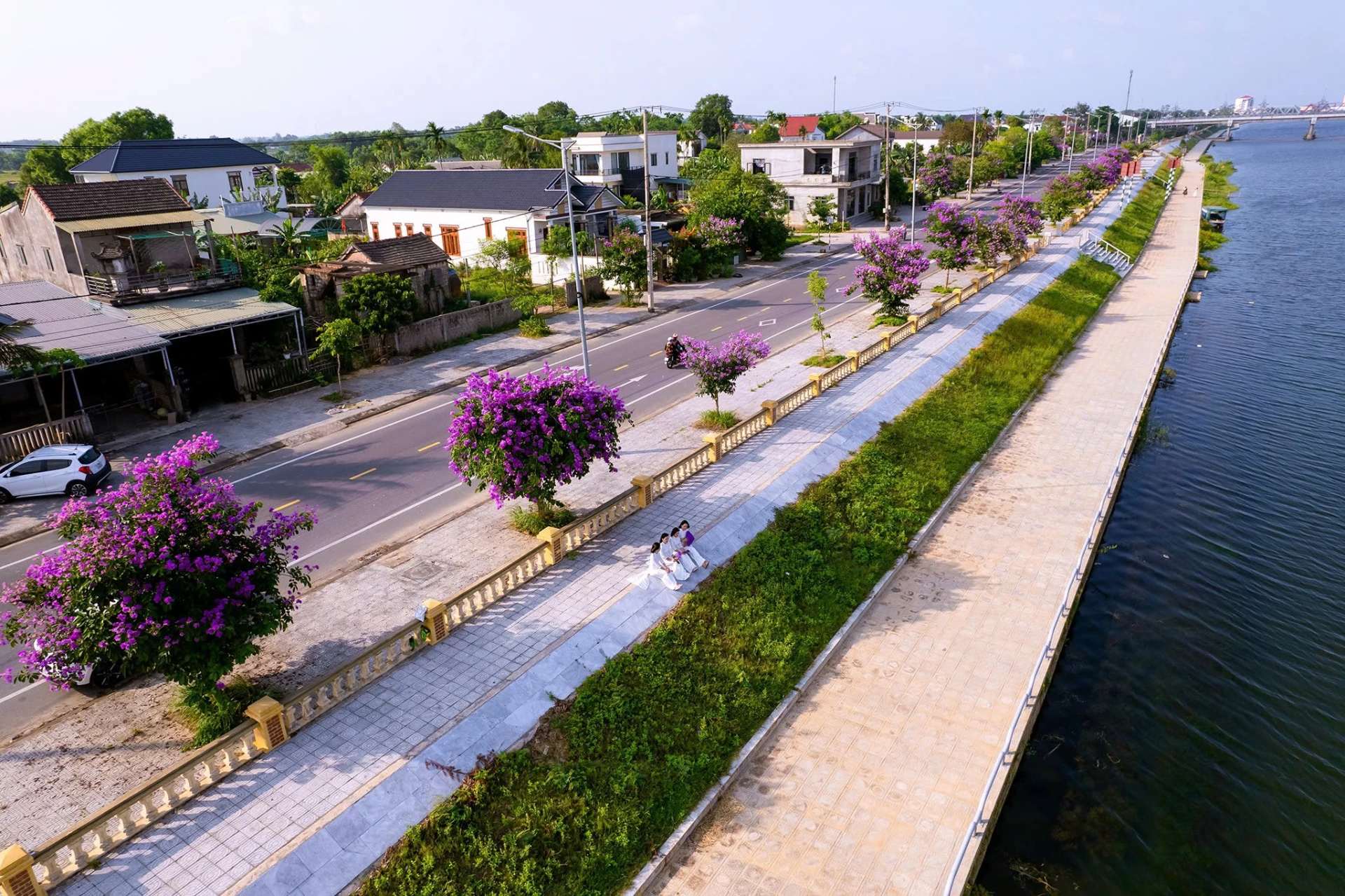  Con đường ngập sắc tím hoa bằng lăng