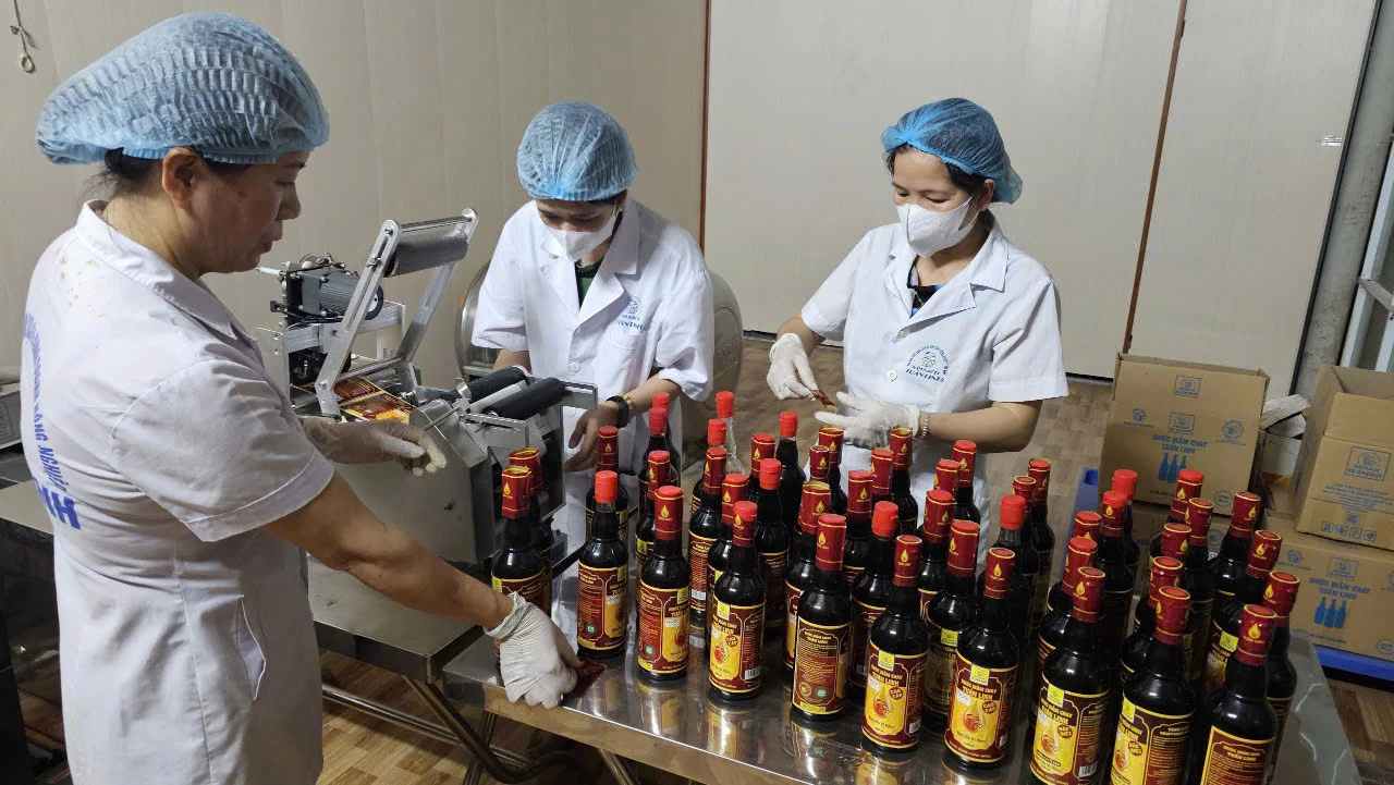 Nước mắm chay Tuấn Linh - sản phẩm của HTX sản xuất nấm sạch và kinh doanh nông nghiệp Tuấn Linh, xã Đông Trạch, đạt giải thưởng Mai An Tiêm năm 2026 - Ảnh: NL