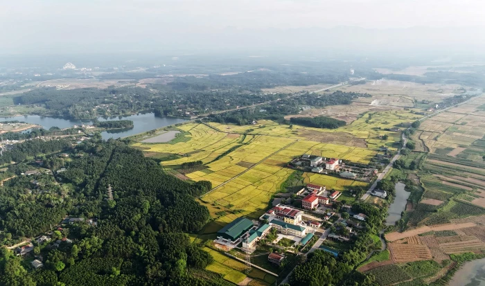 Neo giữ điệu hò Như Lệ