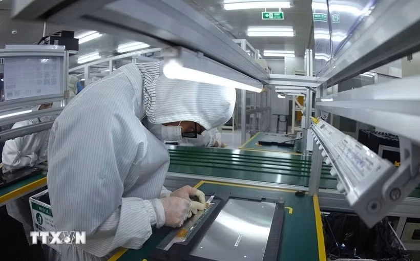 (Ảnh: Vũ Sinh/TTXVN)