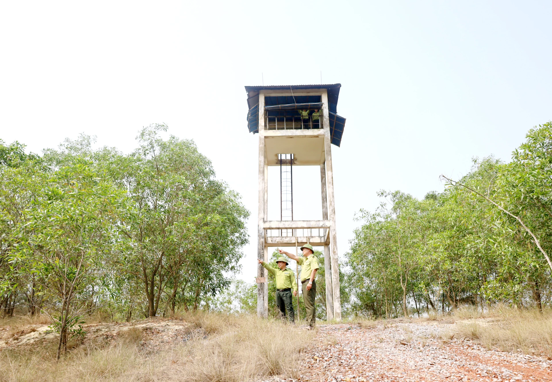Nhân viên Ban Quản lý rừng phòng hộ Đồng Hới và ven biển tỉnh Quảng Trị túc trực 24/24 giờ để canh lửa, bảo vệ hiệu quả rừng phòng hộ ven biển trong mùa khô 2026 - Ảnh: V.L
