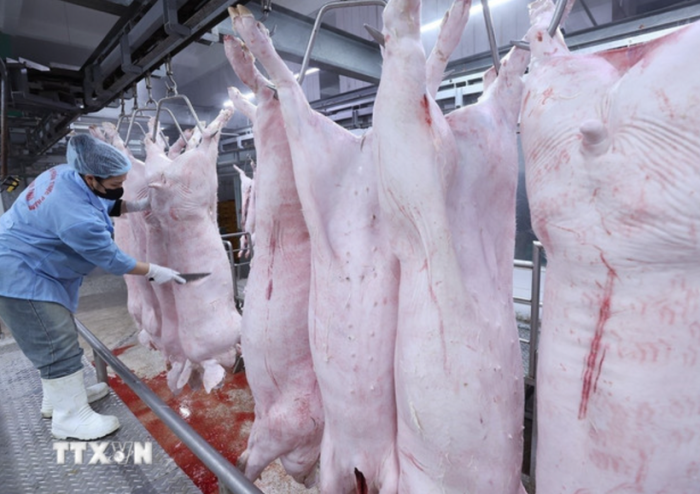 Bộ Y tế: Siết chặt kiểm tra bếp ăn tập thể, trường học ngăn 'thực phẩm bẩn'