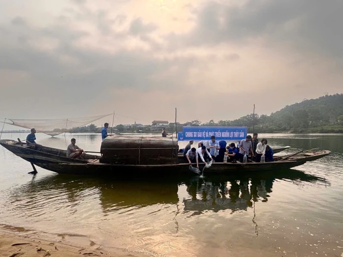 Thả hơn 340 nghìn con tôm sú giống tái tạo nguồn lợi thủy sản