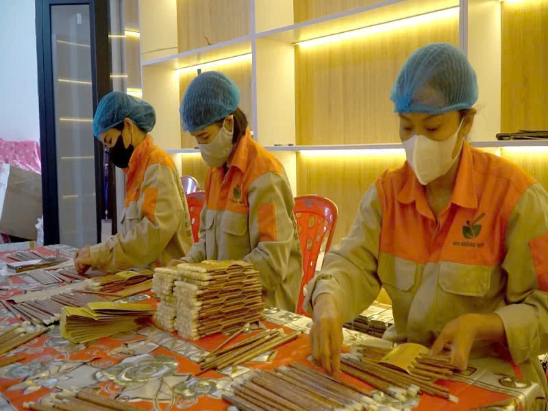 Sản phẩm đũa gỗ của Hợp tác xã Sản xuất kinh doanh thương mại đũa gỗ Quảng Thủy, xã Nam Ba Đồn đã được xuất khẩu - Ảnh: T.T