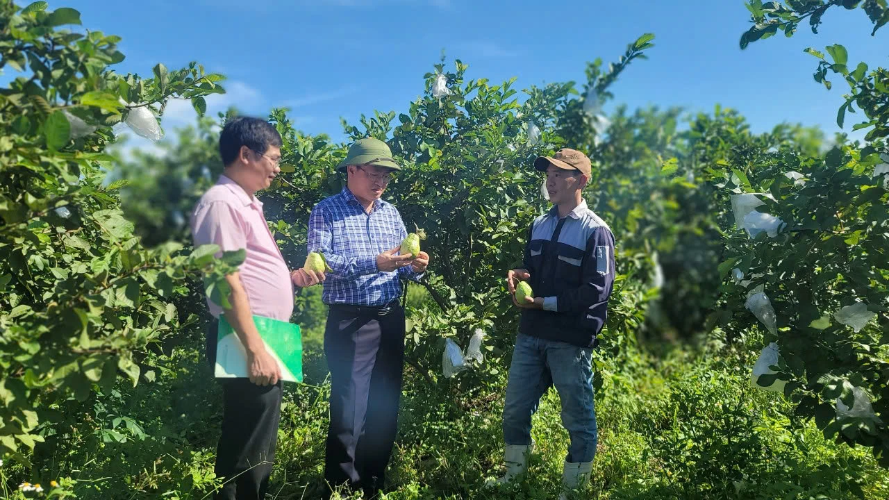 Phòng giao dịch Ngân hàng chính sách xã hội Bố Trạch tích cực giải ngân nguồn vốn vay ưu đãi, hỗ trợ người dân phát triển sản xuất - Ảnh: B.B