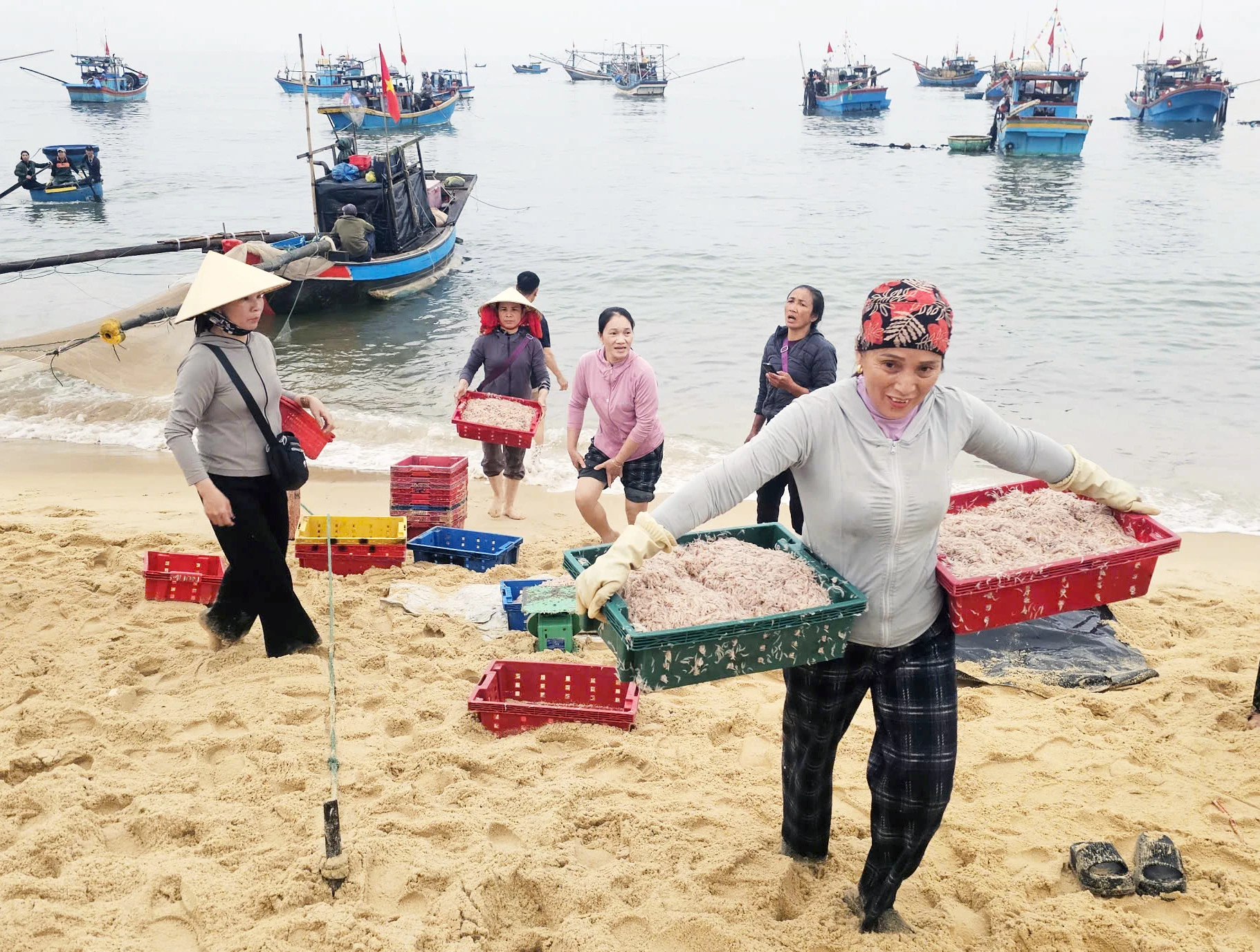 Thương lái thu mua hải sản của ngư dân ngay tại bãi biển xã Nam Trạch - Ảnh: L.Chi