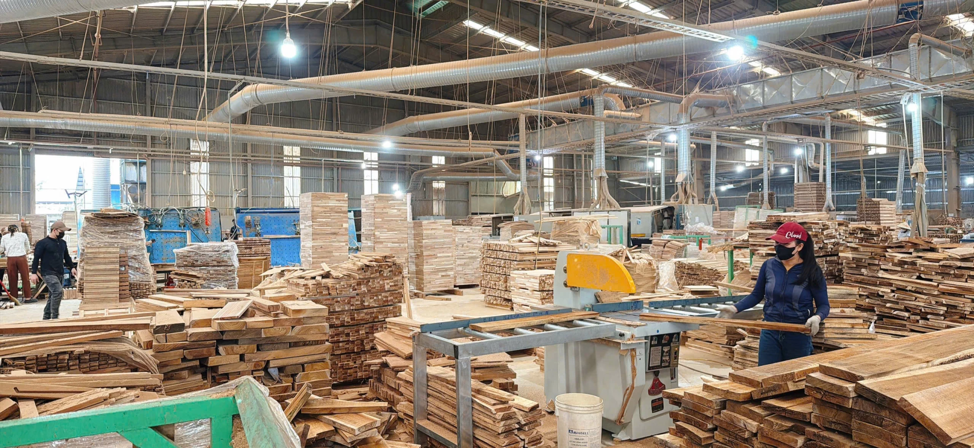  Hoạt động chế biến các sản phẩm gỗ xuất khẩu tại Công ty TNHH Tiến Phong Cam Lộ. -Ảnh: T.T