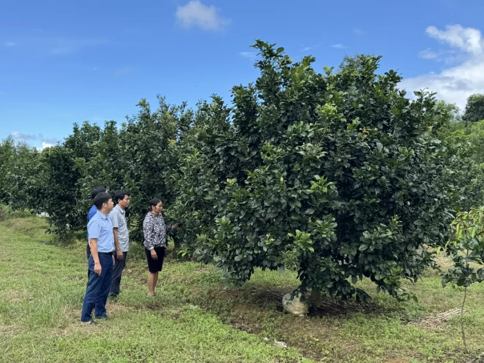 Tạo tiền đề quan trọng để địa phương phát triển bền vững