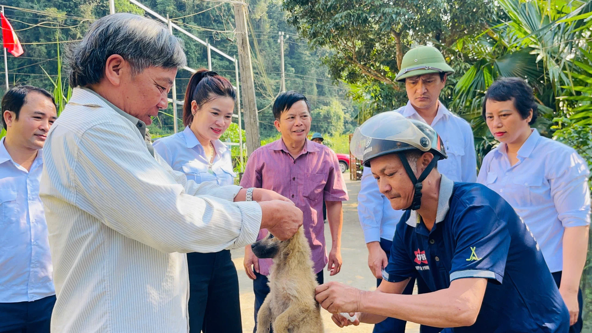 Xã Kim Phú triển khai tiêm phòng bệnh dại trên vật nuôi  - Ảnh: X.P